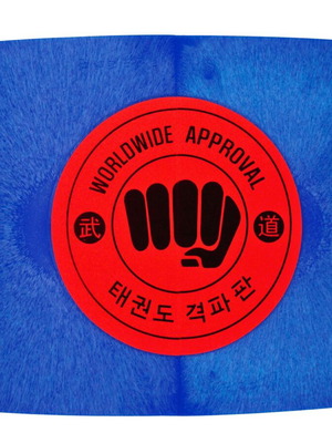 Blue Reusable ABS Breaking Tile 25x22x0.7cm for Martial Arts