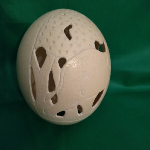 Ostrich eggs new, decorative