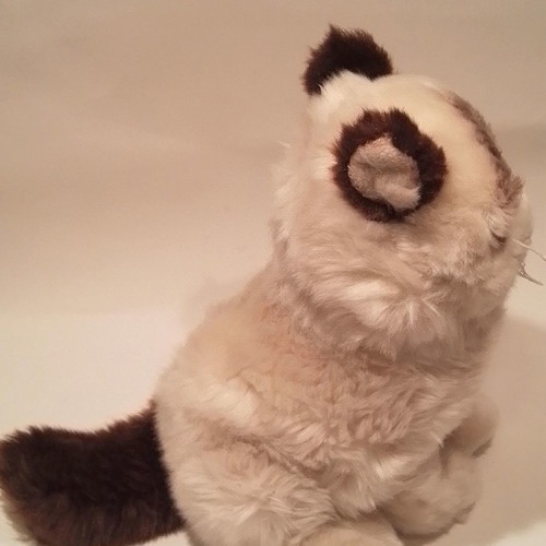 Grumpy Cat GUND plush cat used