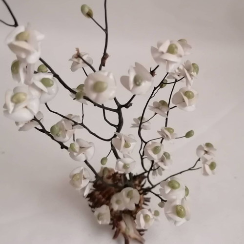 Sea shells used, handmade decor of natural sea shells