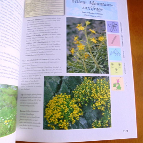 The Encyclopedia of Wild Flowers used, illustrated color guide