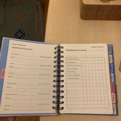 Tiger Agenda Planner like new missing some months and stickers