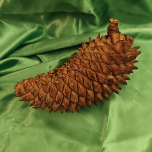 Natural Christmas Pinecone like new