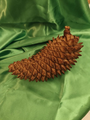 Natural Christmas Pinecone like new