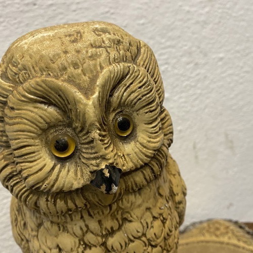 Old Dutch owl used, nocturnal bird