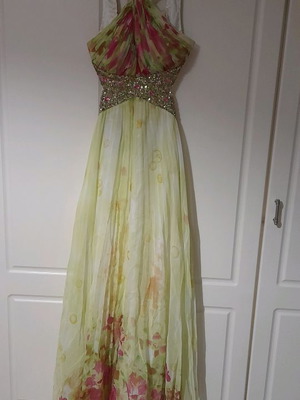 Toilet dress