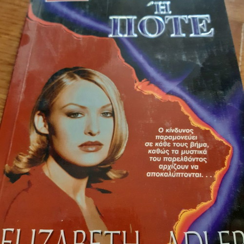 Now or Never Elizabeth Adler unread, in excellent condition, book 2