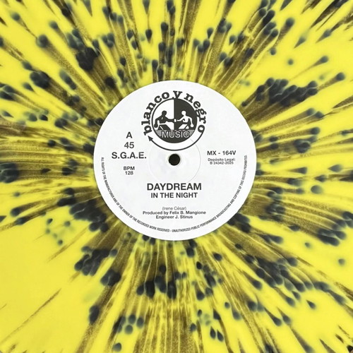 Daydream In The Night electronic vinyl record