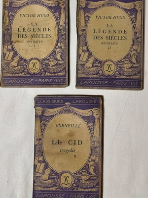 Set of 3 foreign language books used, in good condition