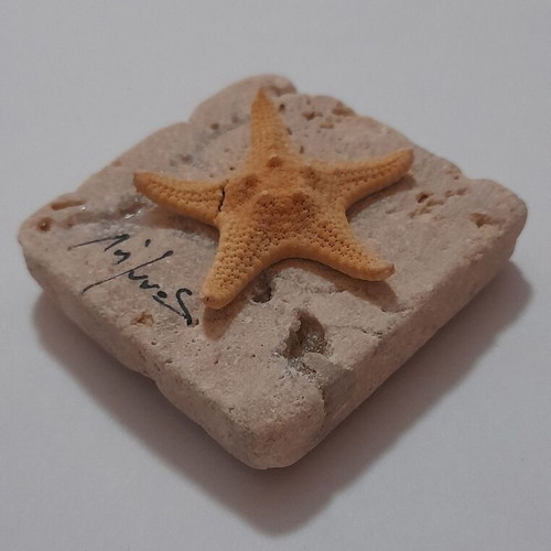 Handmade magnet from Limnos with natural porous stone and dried starfish