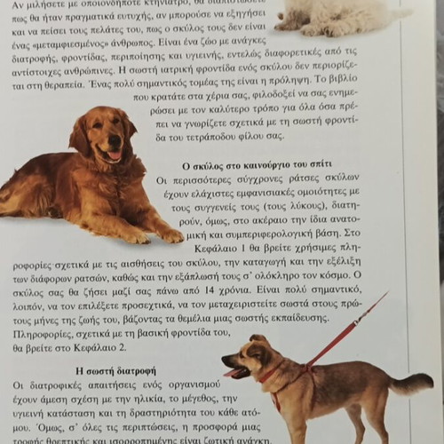 The Care of Your Dog by Dr. Bruce Fogle like new, hobby book