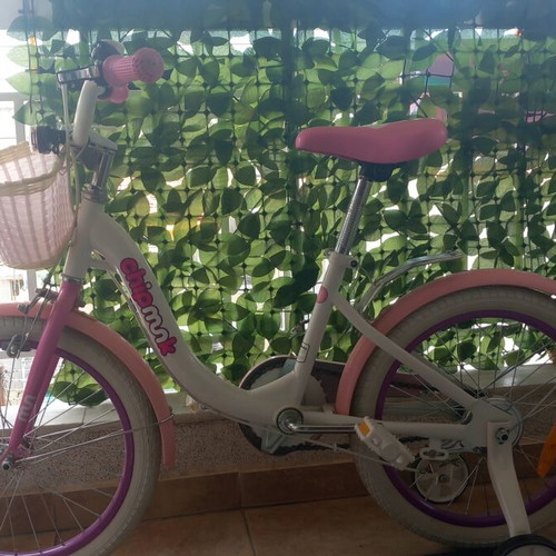 Chipmunk Kids Bicycle like new with training wheels and basket