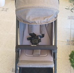 Inglesina Sketch stroller used with Nattou rocking dog gift