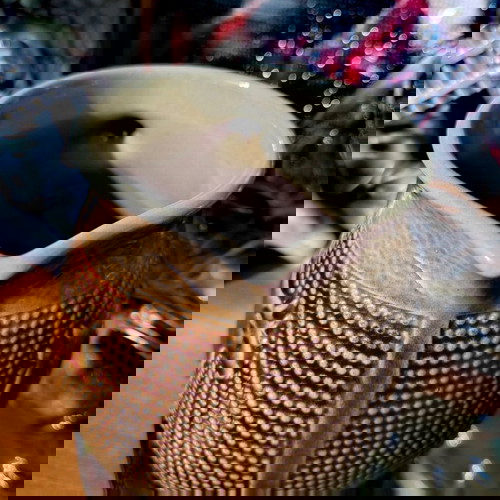 Marzi & Remy Westerwald млечник керамика като ново