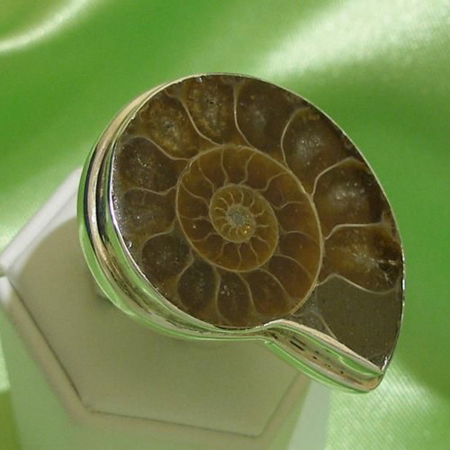Ammonite ring in 925 silver new