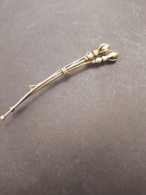 Brooch with silver and bronze details