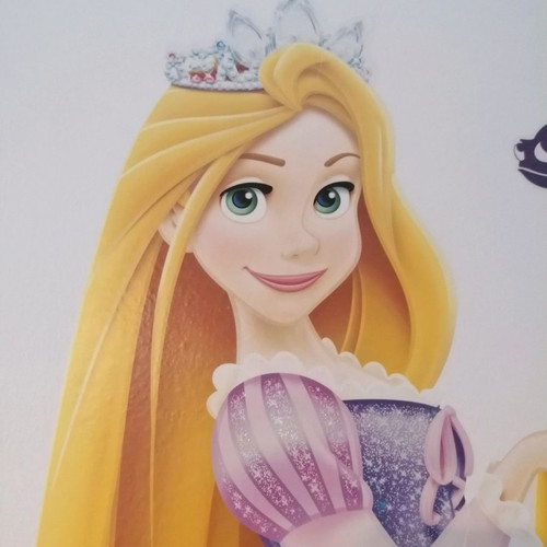 Rapunzel wall sticker used, Disney kids room decor