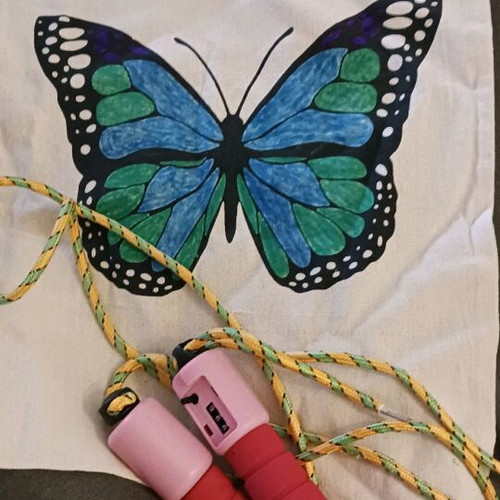 Fabric bag like new with gift adjustable skipping rope