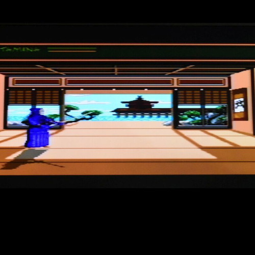 Budokan: The Martial Spirit Sega Mega Drive game used