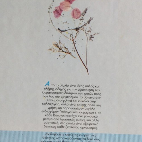 Herbs for Health and Beauty by Hilary Boddie used