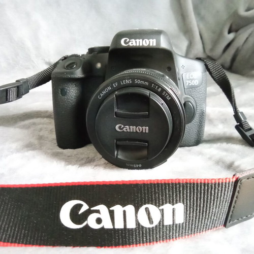 Canon camera EOS 750D lightly used with EF 50mm f/1.8 lens