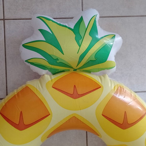 Inflatable Pineapple Swim Ring and Used Foot Pump