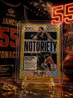 Mike James Notoriety basketball card new