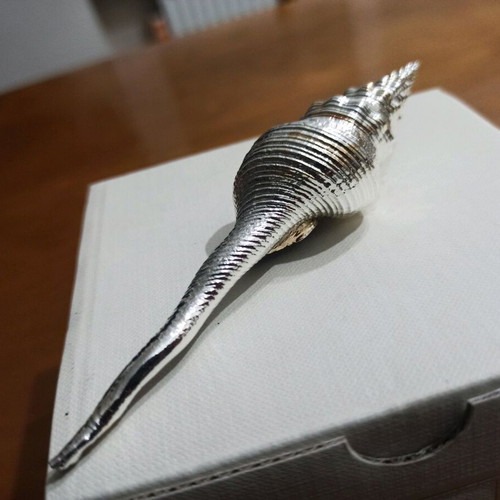 Decorative Shell Argenesi Italian Design new, 13 cm