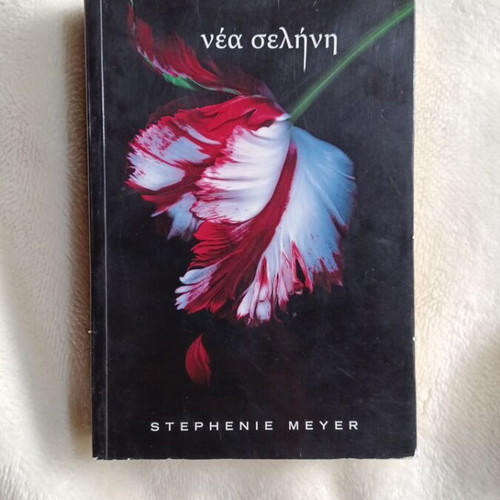 New Moon used literature book