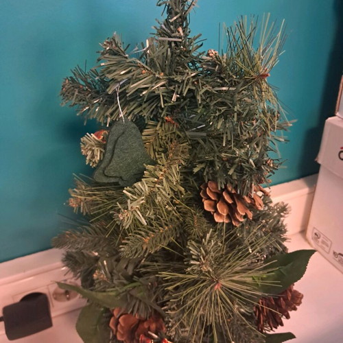 Small Christmas tree used