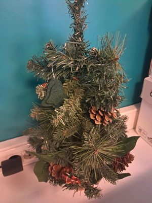 Small Christmas tree used