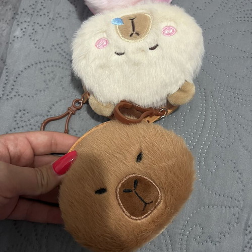 Capybara Kids Wallet like new