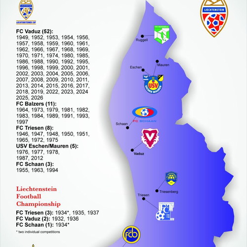Liechtenstein Football Teams Map Poster 50x70 cm new