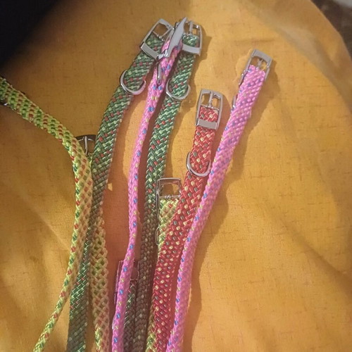 Small size dog collar new