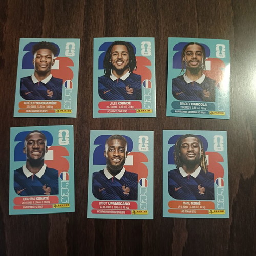 Panini France stickers new set