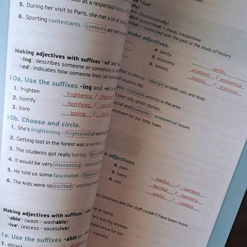 Success in ESB B2 Teacher's Book new