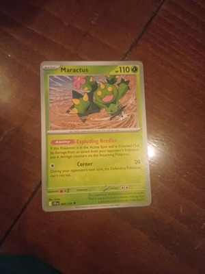 Pokemon card new