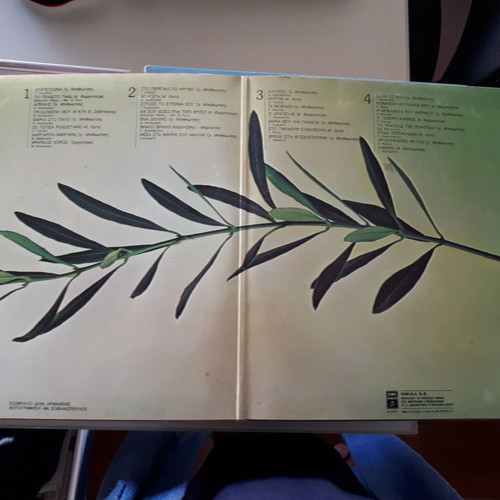 Vinyl M. Theodorakis 30 Golden Hits used, double album