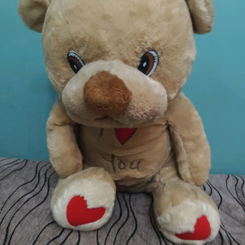Large teddy bear with hearts used