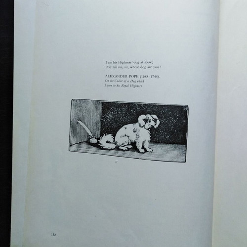 Paul Hamlyn Dogs Dogs Dogs Dogs Dogs book used, English