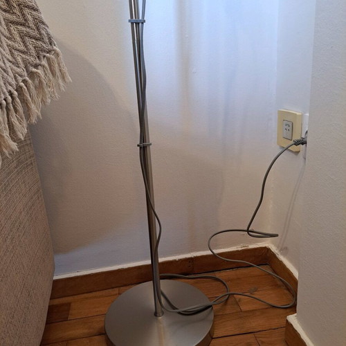 Floor lamp used with 2 adjustable lights