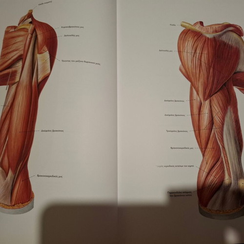Sobotta Anatomy Atlas used, Greek edition