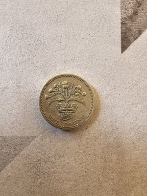 United Kingdom coin used