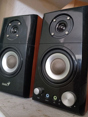 Computer speakers used, wooden, with nut connection, pair