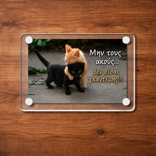 Acrylic fridge magnet 9x6cm "Μην τους ακούς..." new