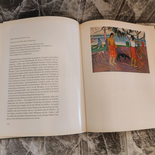 Kleine Museumsreise Durch Amerika book used, German, 1969 edition