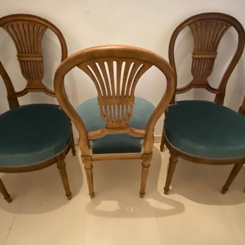 Classic wooden Louis XVI chairs set of 6, like new with velvet seat