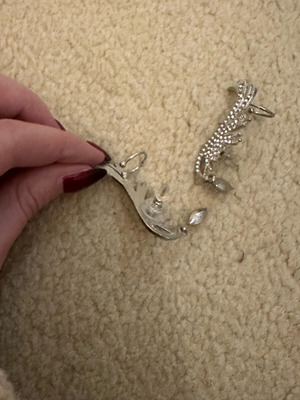 Earrings new