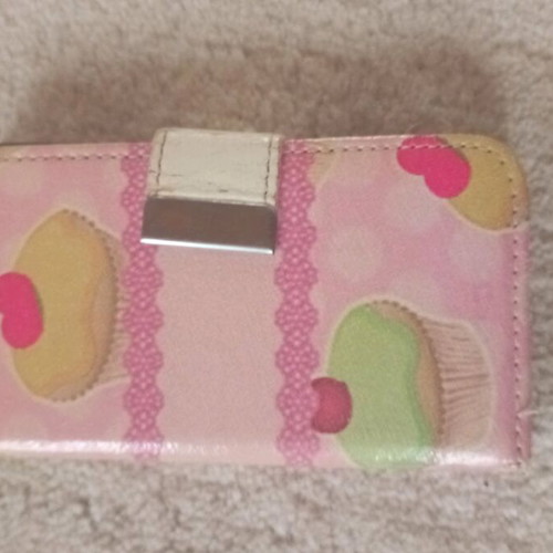Case for small Apple phone used