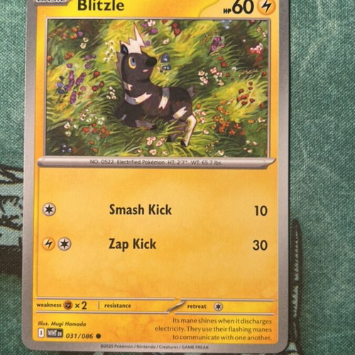 Blitzle Pokemon card used